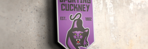 Sporting Cuckney